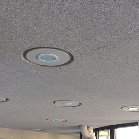 Giraffenpark Schönbrunn mit Sichtbeton von Wopfinger