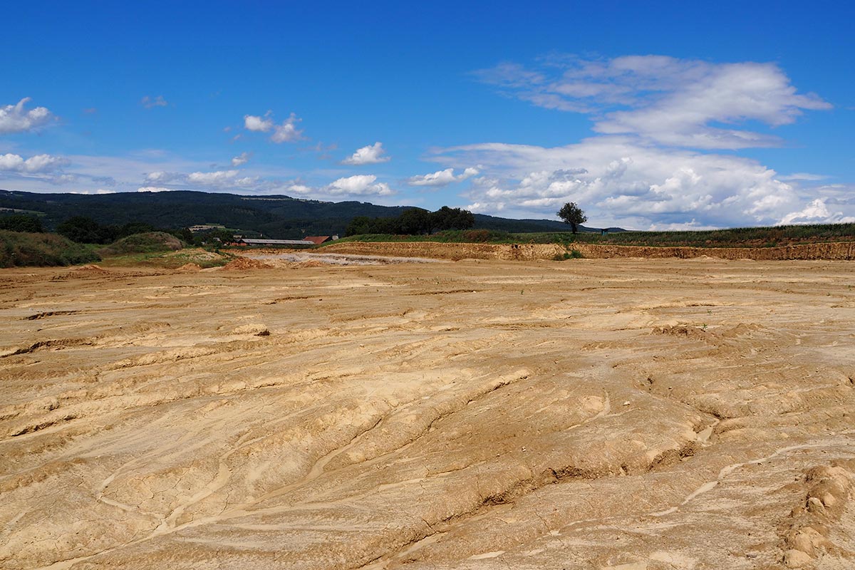 Aufhöhungsfläche vor Rekultivierung